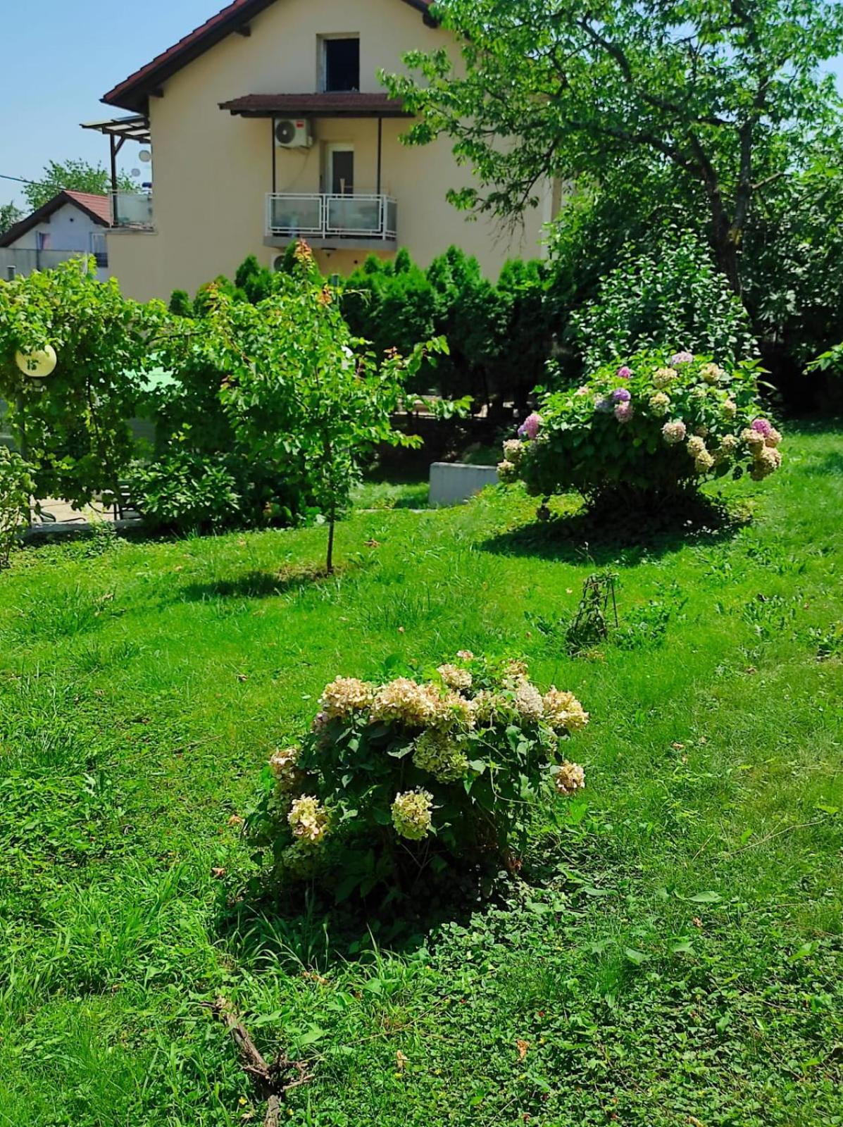 Apartman Zagreb,Rebro,Maksimir,Centar Marko Exteriör bild