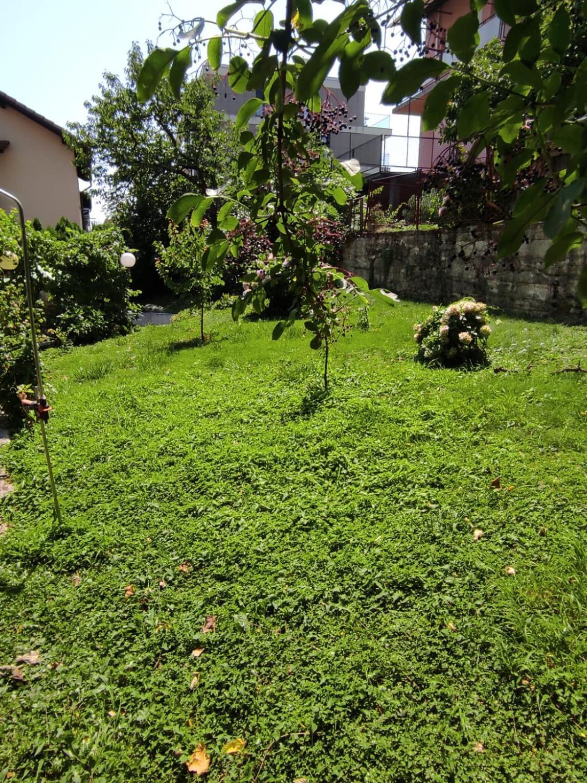 Apartman Zagreb,Rebro,Maksimir,Centar Marko Exteriör bild